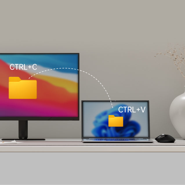 Rapoo M+ Cross-Computer Technology