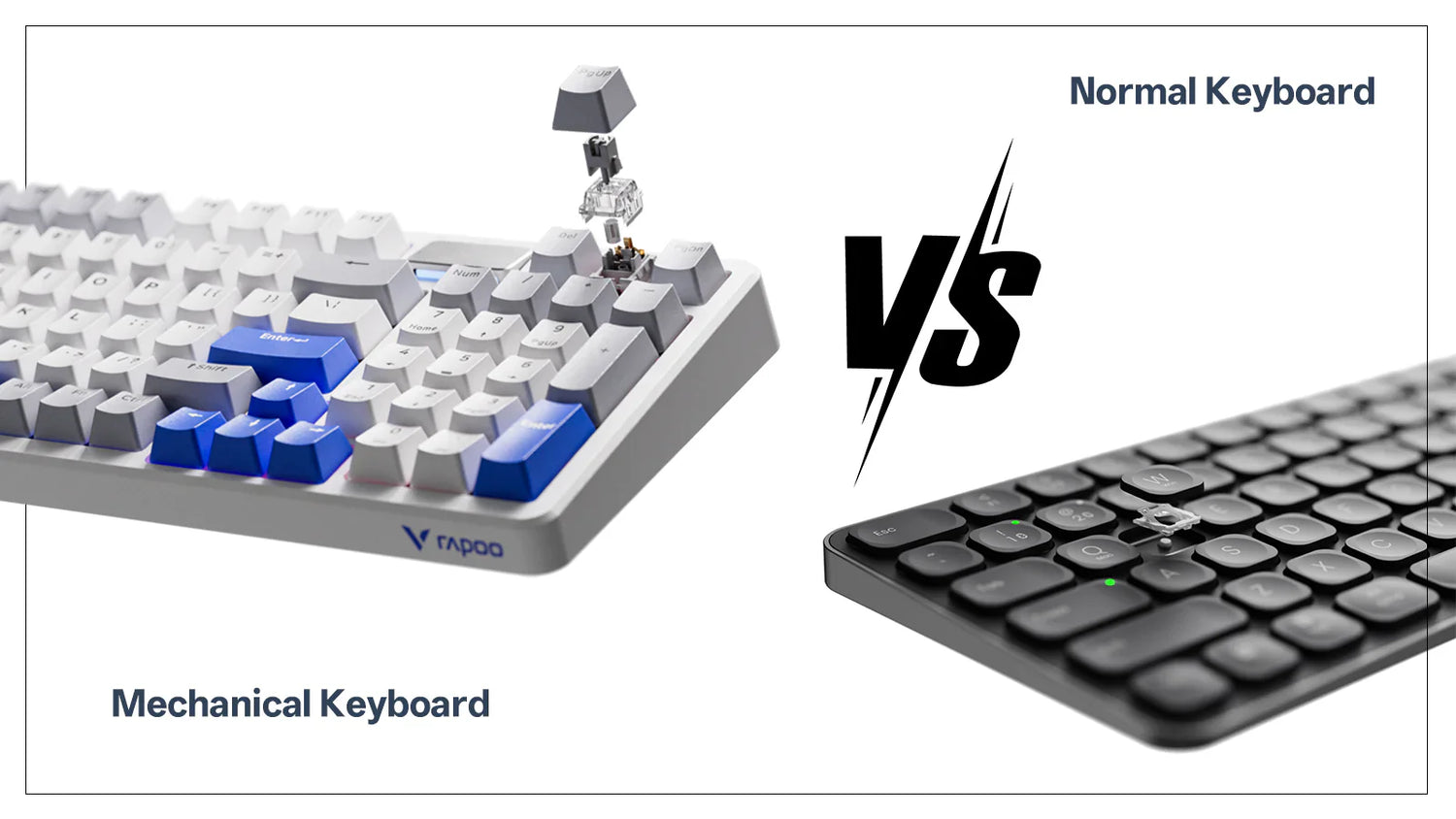 Different Types of Keyboards: A Complete Guide for Every User – RAPOO