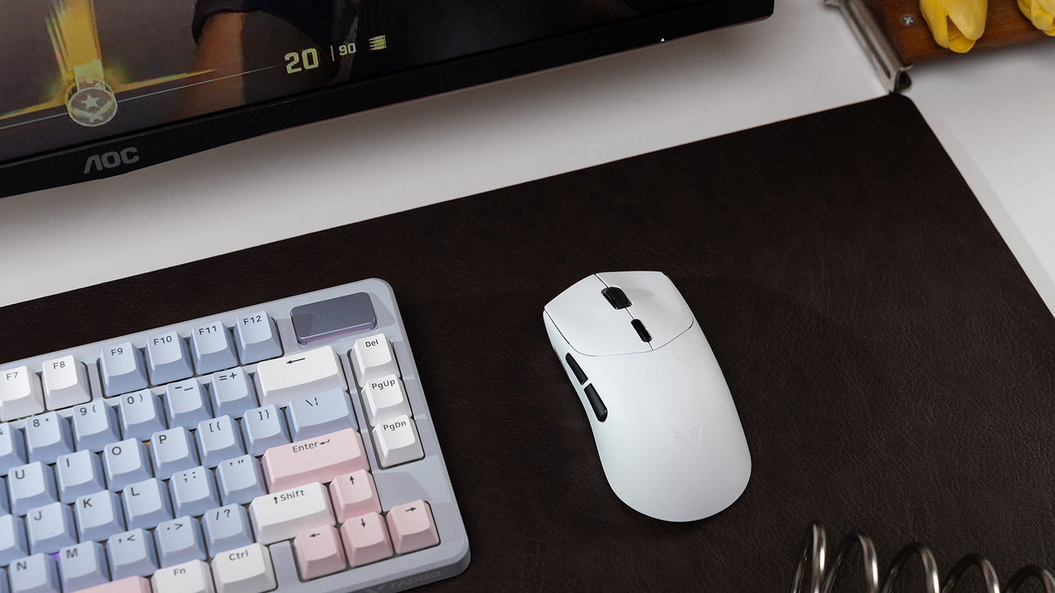 Symmetrical vs Asymmetrical Mouse