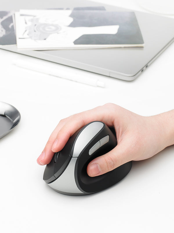 RAPOo Vertical Ergonomic Mouse