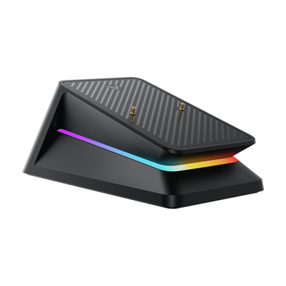 Rapoo P5 RGB Mouse Charging Dock, Compatible with MT760/MT760 PRO Multi-Device Mice and  VT9 Pro/VT3/VT3 GEN-2/VT7 Series Gaming Mice