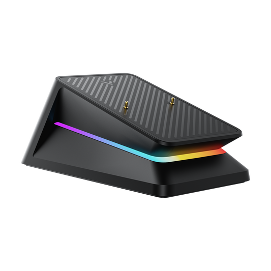 Rapoo P5 RGB Mouse Charging Dock, Compatible with MT760/MT760 PRO Multi-Device Mice and  VT9 Pro/VT3/VT3 GEN-2/VT7 Series Gaming Mice