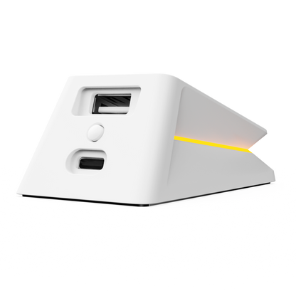 Rapoo P5 RGB Mouse Charging Dock, Compatible with MT760/MT760 PRO Multi-Device Mice and  VT9 Pro/VT3/VT3 GEN-2/VT7 Series Gaming Mice