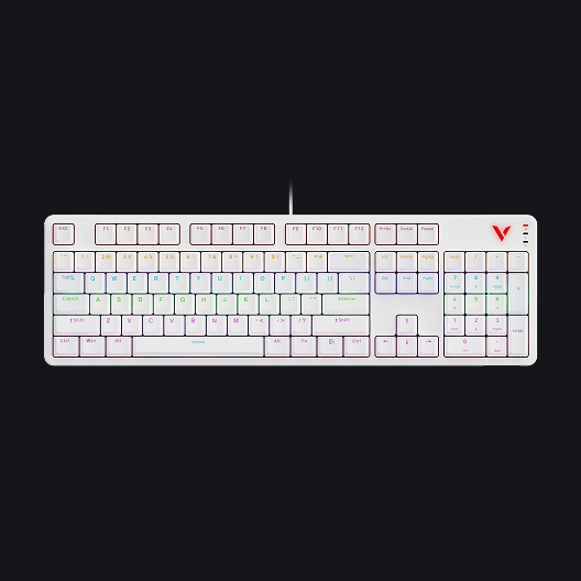 Rapoo V500Pro Wired Mechanical Gaming Keyboard, 104/98/87 Keys Anti-Ghosting, Customizable Rainbow RGB Backlit QWERTY Keyboard, Multimedia Hotkeys, Removable Top Case, USB-C, Heavy Duty, 2024 Edition